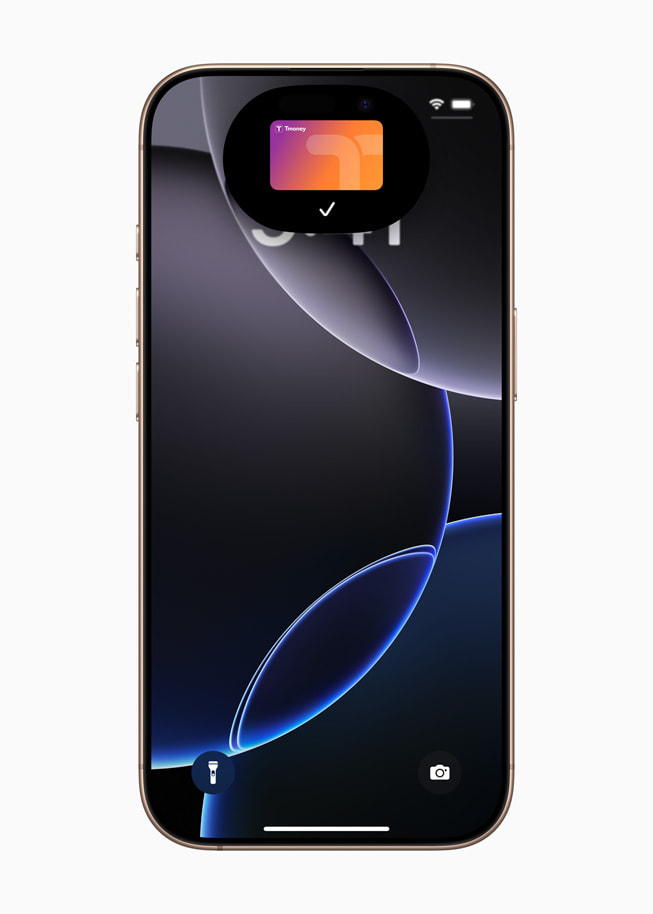 사용자 iPhone 16 Pro 화면에 표시된 '익스프레스 모드'의 Apple Pay 티머니 