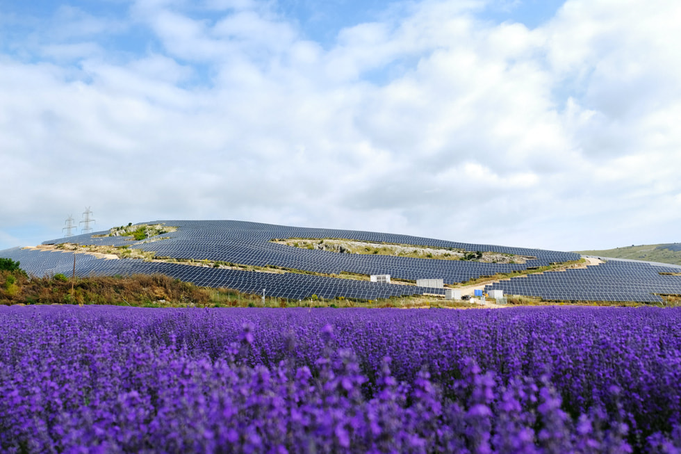 Een luchtfoto van een door Apple gefinancierd park voor hernieuwbare energie in Griekenland, dat grenst aan een veld met paarse bloemen.