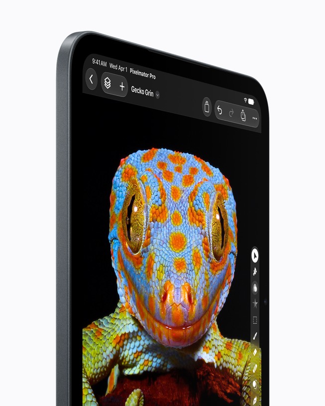 A close-up of the Super Retina XDR display on iPad mini shows a detailed image of a gecko.