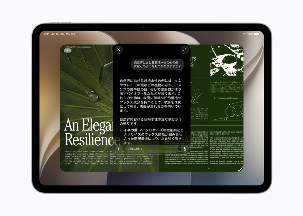 Siri AIを使って、画面上のコンテンツについて質問をしているユーザー。