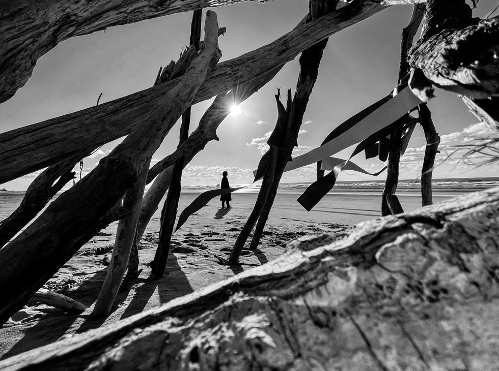A black-and-white shot of a figure, visible through a lattice of driftwood, standing on a beach.