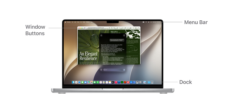Ask Siri populates helpful research information on MacBook Pro 14″, Preview and Canvas run in the background with lines indicating the location of the Menu Bar, Window Buttons and Dock.