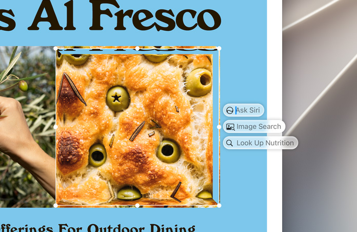 As caixas Inteligência visual, Pedir a Siri, Pesquisa de imagens e Valor nutricional surgem à direita de uma imagem em destaque de uma focaccia com azeitonas